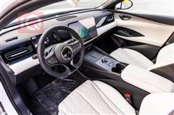 بي واي دي سيل 06 DM-i